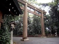 Torii to the Meiji Shinto shrine, Tokyo