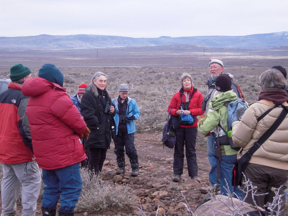 Dave Quaddy leads Golden Gate Audubon field trip to sage grouse