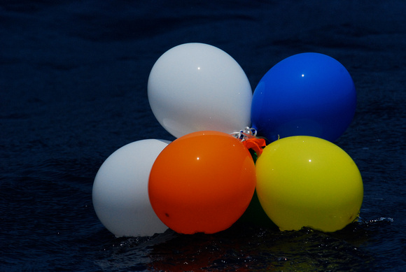 Party balloons escaped to die at sea