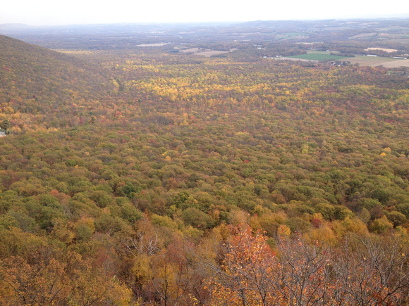 View from Bake Oven Knob