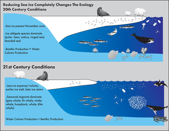 Arctic conceptual diagram_v3