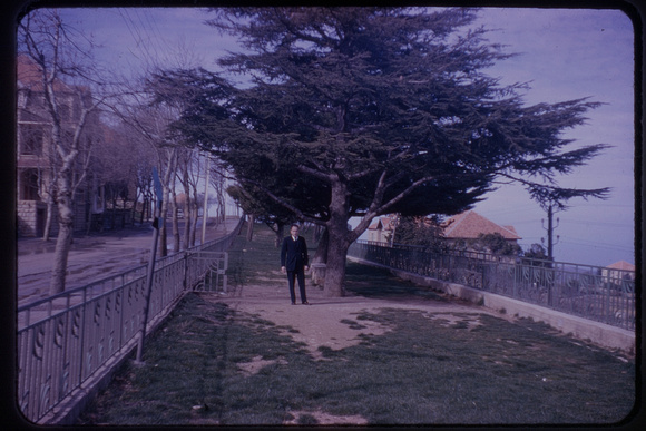 Eli in Beriut, Lebanon - w/ famous cypress tree