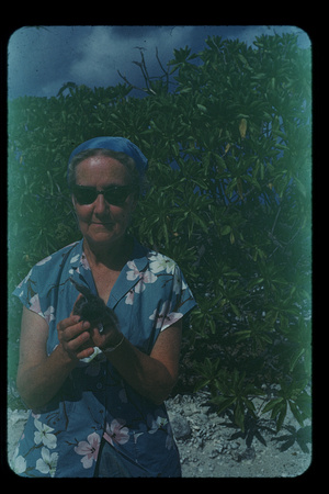 Joyce Caldwell's grandmother holding sooty tern chick