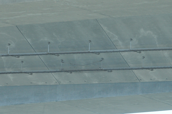 cormorant platforms on New Bay Bridge