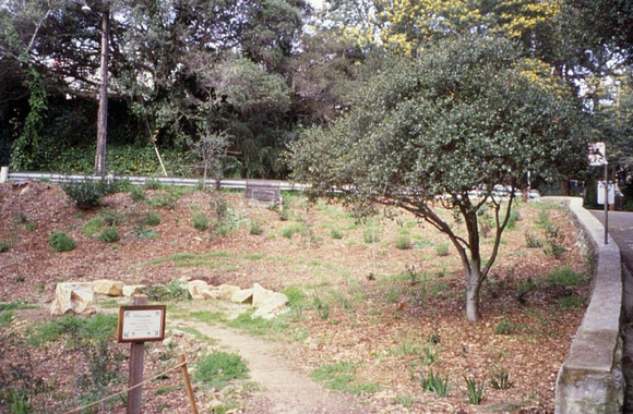 Demonstration Garden Feb 1998