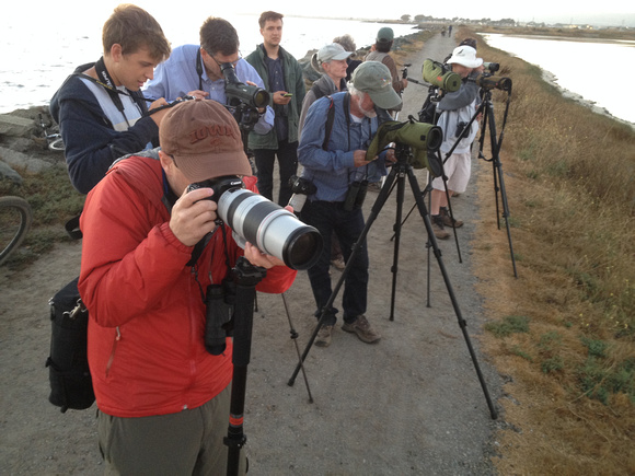 Scott Terrill leads hunt for curlew sdp.