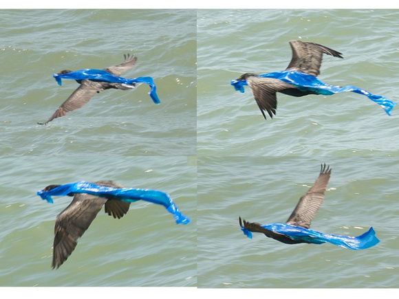 blue plastic series of flight shots