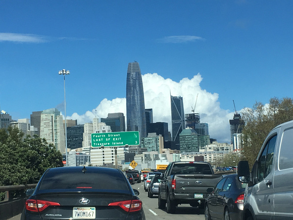 chasing birds through San Francisco on a friday