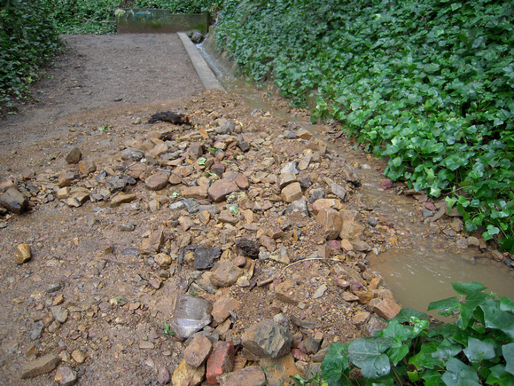 drain overflow on bridgeview trail