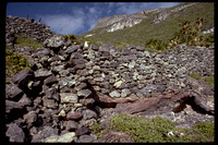Nihoa inhabitants walls