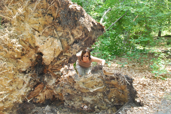 mindy in root mass