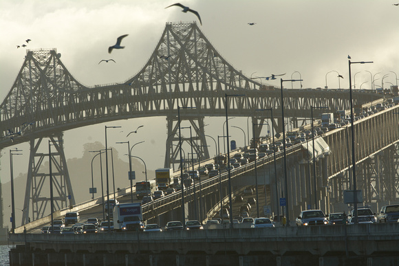 San Rafael Bridge w/gulls