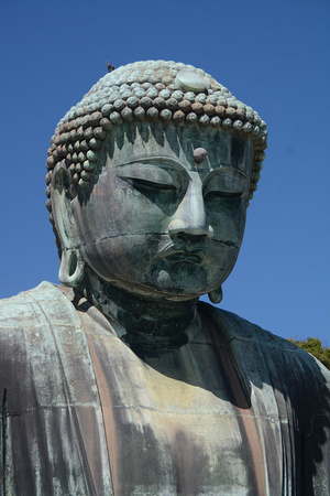 THE GREAT BUDDHA