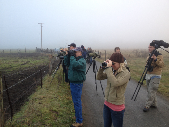 Birders at Stakeout.