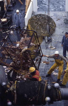 King Crab fishing Bering Sea 1975