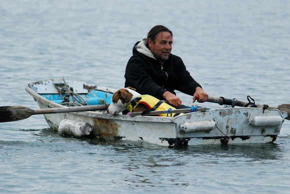 sea dog and rower