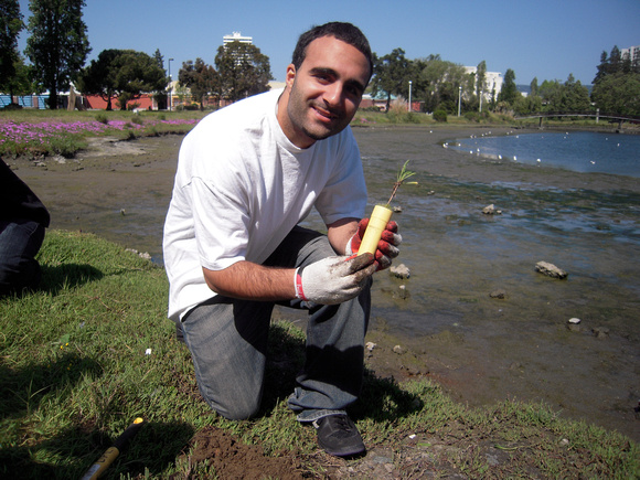 Sohail Morrar planting gumplant-gumplant posterboy 2011