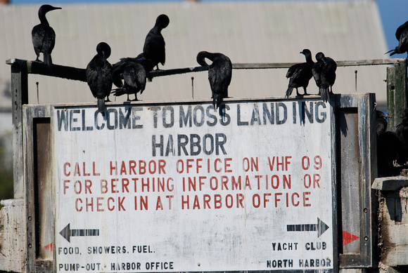 Moss Landing Harbor sign