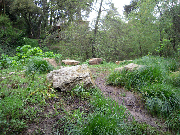 Stone Circle at Spring Equanox
